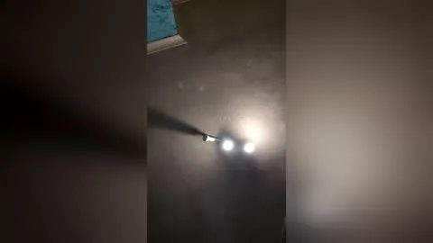Billede af snapdice
