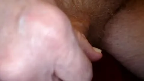 Billede af spookync1